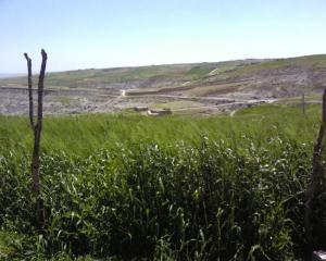 Champ agricole (Bordj Bou Arrerij)