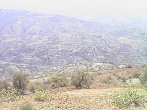 Abad Cherif de Tagoulmimt (Bordj Bou Arrerij)