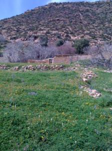 Prairie de Bordj Bou Arrerij