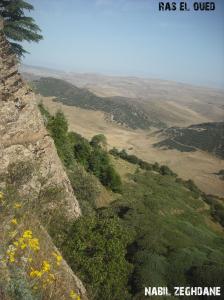 Paysage de Bordj Bou Arrerij