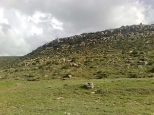 Région de Ouled Aïcha (Bordj Bou Arrerij)