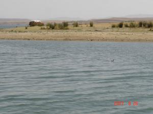 Ain-zada (Bordj Bou Arrerij)