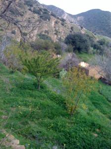 Paysage de Bordj Bou Arrerij