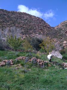 Paysage de Bordj Bou Arrerij