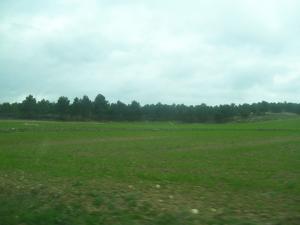 Forêt de Hasnaoua (Bordj Bou Arrerij)