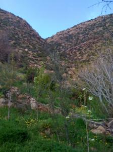 Paysage près de Bordj Bou Arrerij