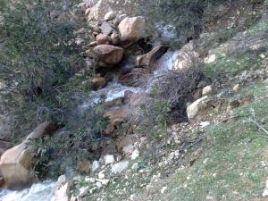 Bitame (Bordj Bou Arrerij)