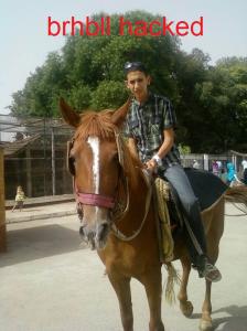 Club d'équitation à Bordj Bou Arrerij