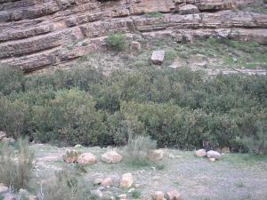 Roches Stratifiée près de Bordj Bou Arrerij
