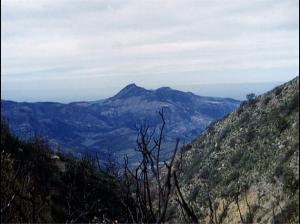 Ville de ZEBOUDJA ex HANOTEAU