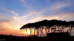 Coucher de Soleil près de Boumerdes