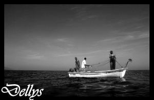 Pêcheurs de Dellys (Boumerdes)