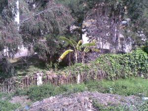 Paysage de Boumerdes