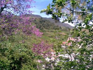 Sidi Daoud à Boumerdes