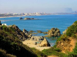 Boumerdes Vue depuis la plage   Figuier