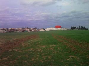 Terrain vague dans la région de Boumerdes