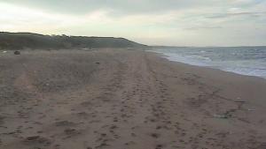 La plage de Corso 20 Déc. 2010