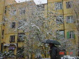 Cité des 800 logements à Boumerdes par  un jour de neige