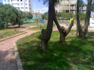 Pouponnière à Boumerdes