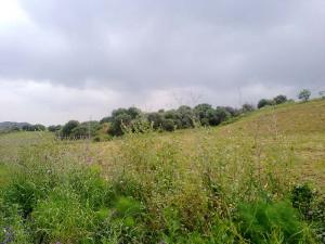 Prairie près de Boumerdes