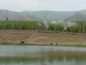 Champ agricole aux abords de Boumerdes
