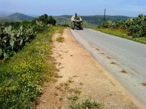 Petite route dans la périphérie de Boumerdes