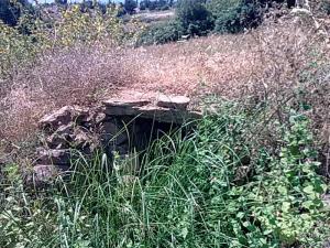 Ain - Bouneder près de Boumerdes