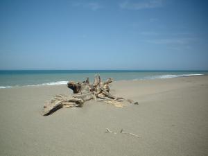Plage de Souanine (Boumerdes)