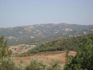 Vue sur Ait-Arif ,Tirmitine (Boumerdes)
