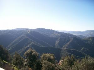 Région de M'kira à Boumerdes