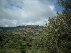 Région de Ouled Saber (Boumerdes)