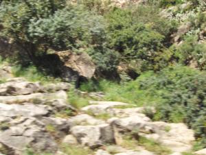 Région de Lakhdaria à Boumerdes