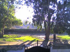 Zone Aissat Mustapha, Reghaia (Wilaya de Boumerdes)