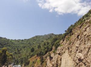 Forêt de Lakhdaria (Boumerdes)