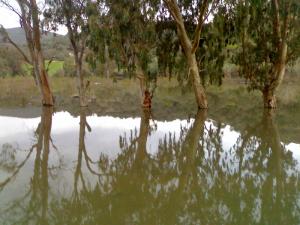 Riviére de al Commune de  Ammal