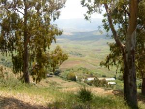 Paysage de Ain Ammara (Boumerdes)
