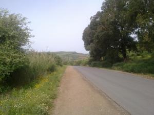 Route sur la périphérie de Boumerdes