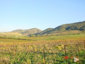 paysage de Boumerdes