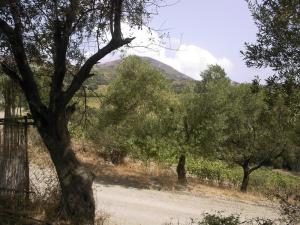 La route menant aux montagnes de Boumerdes