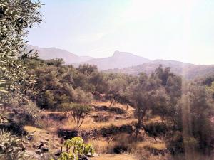 Paysage de Boumerdes