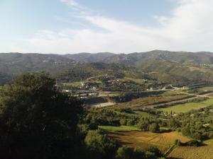 La Commune de Ammal au Printemps (Boumerdes)