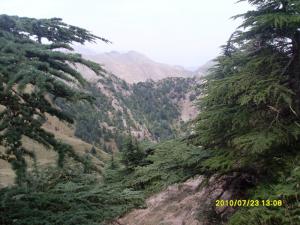 Paysage des environs de Boumerdes