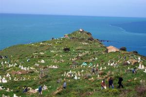 Cimetiere de Dellys (Wilaya de Boumerdes)