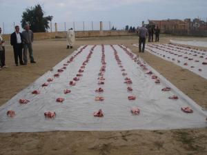 Oiziâa à Thimechrat Tablabalt (Boumerdes)