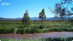 Parc national d'El Kala à El Taref