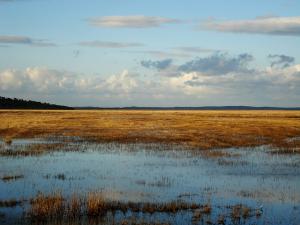 Lac des oiseaux à El Kala (El Taref)