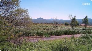 Parc National d'El Kala ( El Taref)