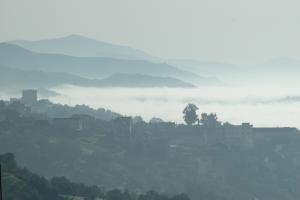 Tala Bouzrou à Boumerdes