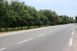 Parc national el Kala (Wilaya d'El Taref)