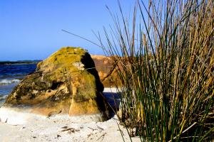 Lac el Mallah El Taref